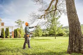 Best Tree Removal  in Pryor Creek, OK