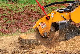 Best Tree Disease Treatment  in Pryor Creek, OK