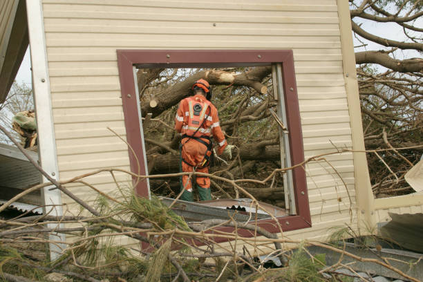 Reliable Pryor Creek, OK Tree Services Solutions